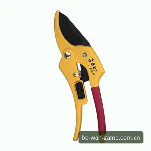 博万体育安卓版与网页版登录入口对比：v2.3.0选哪个体验更靠谱？